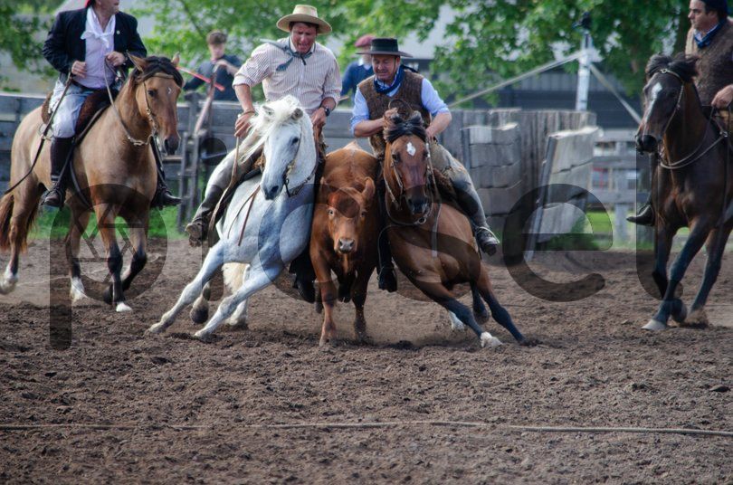 Photo of rtsv5575p2b51eeonkez0bsf