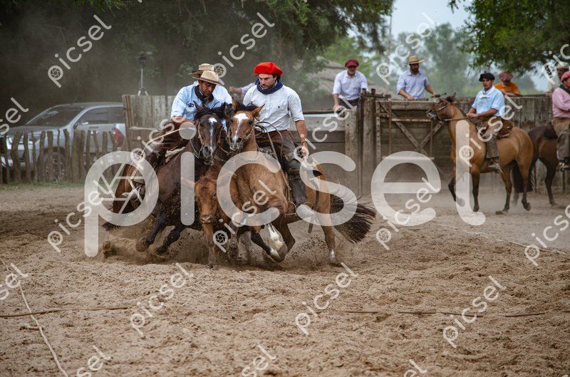 Photo of er4j7g1wqnrs0zxqo66n283p