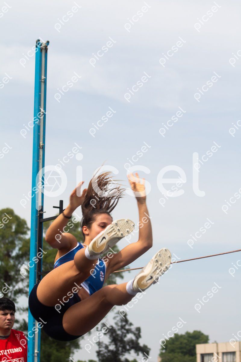 Photo of nj7p7k6laxllyzns2n7yradl