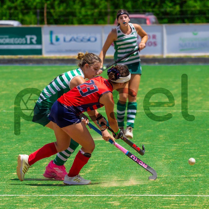 Photo of stqw8jfvhs9tzonulnafb7gn