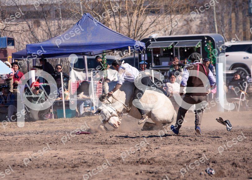 Photo of chybpdlmmb27g1v5dh885qwn