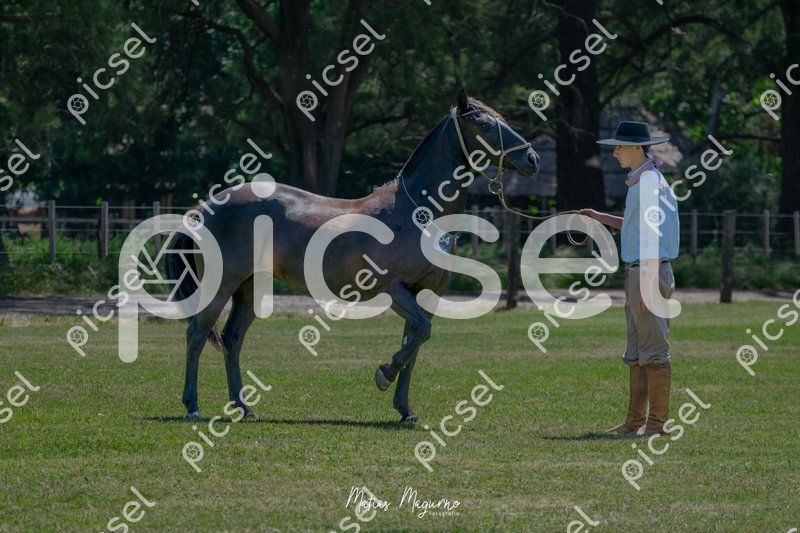 Photo of zmftnz3i8dprqfm7bou7f7nf