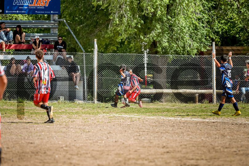 Photo of qkrs62p6p5k44zelzk0juo0n