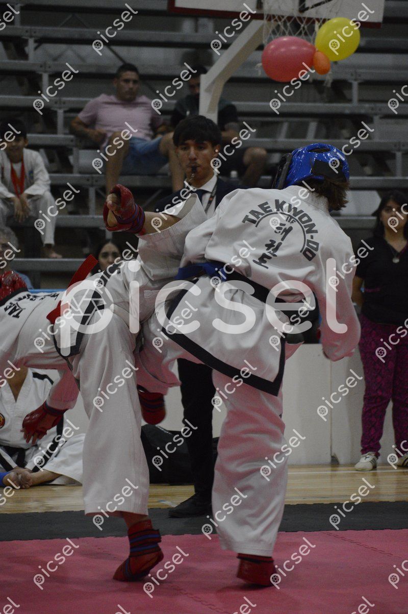 Photo of eapf77njelzkm59sc9q12xsa