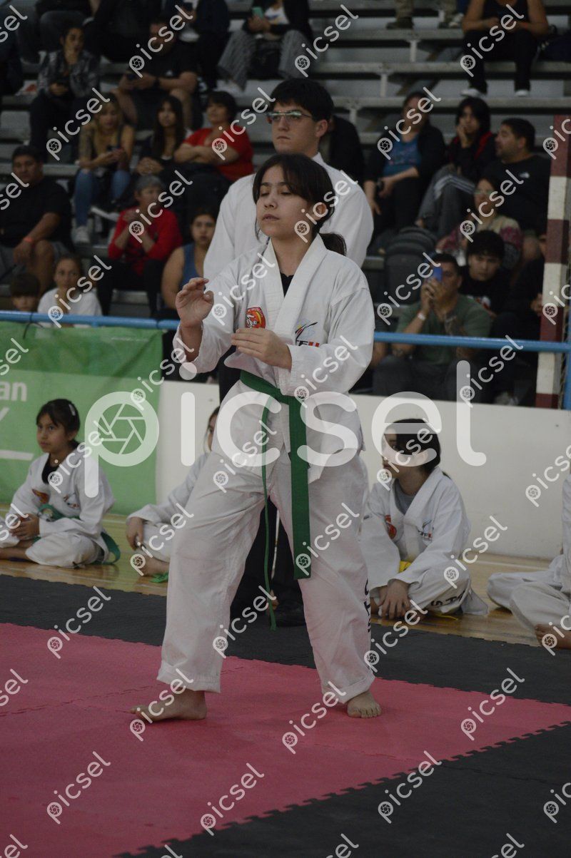 Photo of n2yiv47px63fc80nsr68zu9x