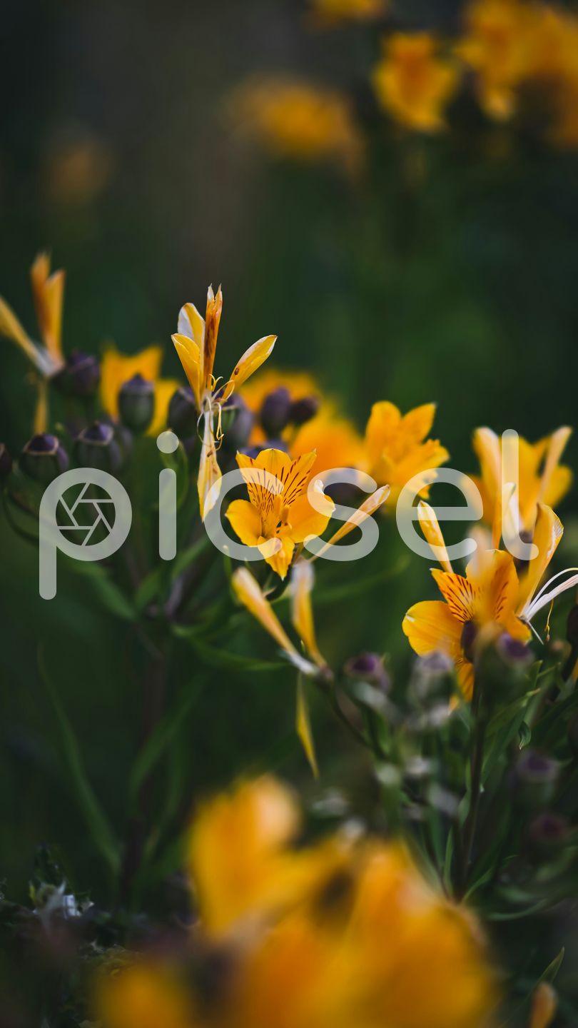 Photo of ycb1epbyrf2idaf0o8432o5n