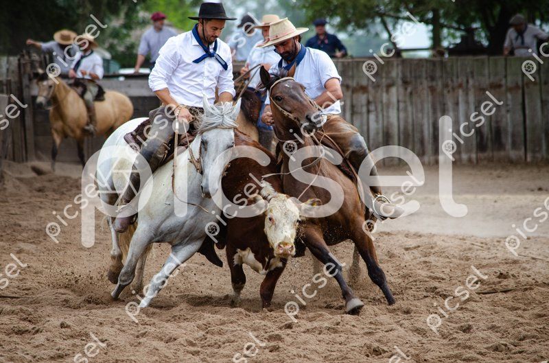 Photo of p8v4g9jsi0ahpzw70q3vg9vw