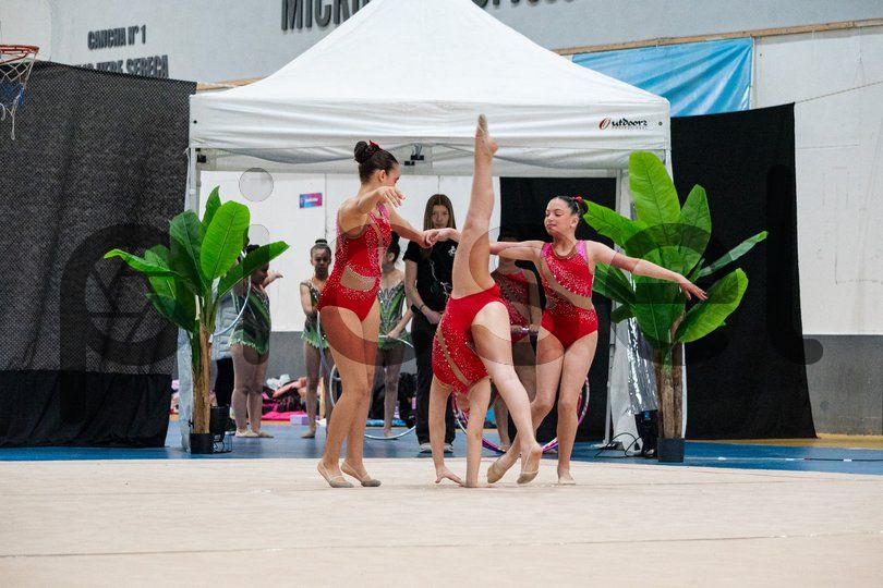 Photo of nuj8m4gnmq40lpgn9fu0moxv