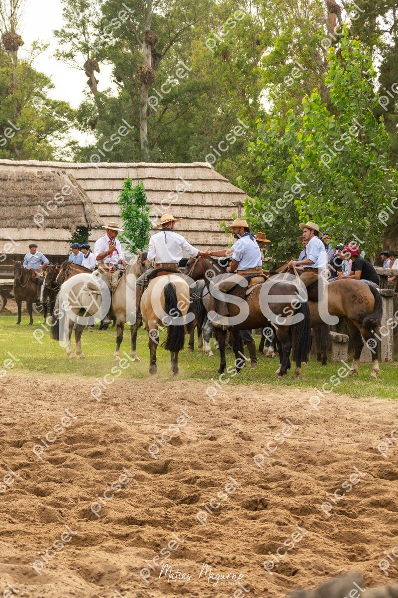 Photo of mcm0r18hauz8pq8sx2vs5r95