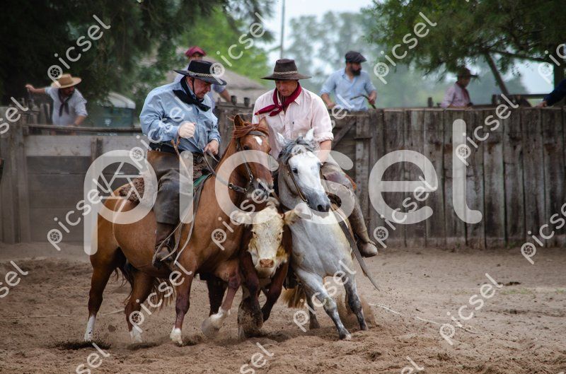 Photo of pplgwlg70faph3b97o2igybx