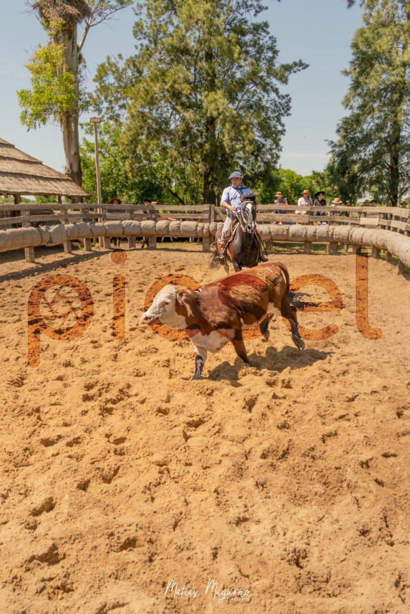 Photo of z4gokcey1lm7wv3h1aqcwiao