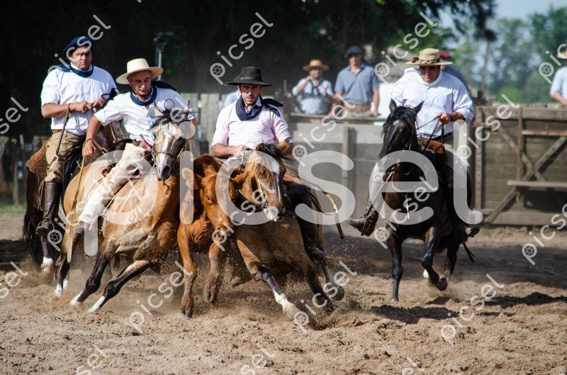 Photo of gncxuahh5gj98a9x5zfnl62h