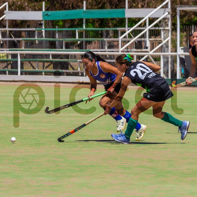 Photo of v5saytjnn0f84cnv63yqc06d