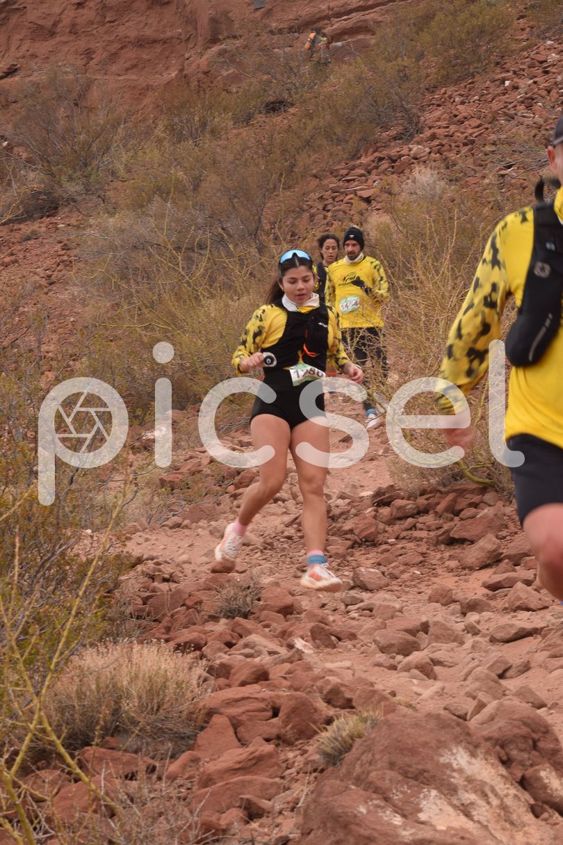 Photo of w1i719s29308eonhkut67hjb