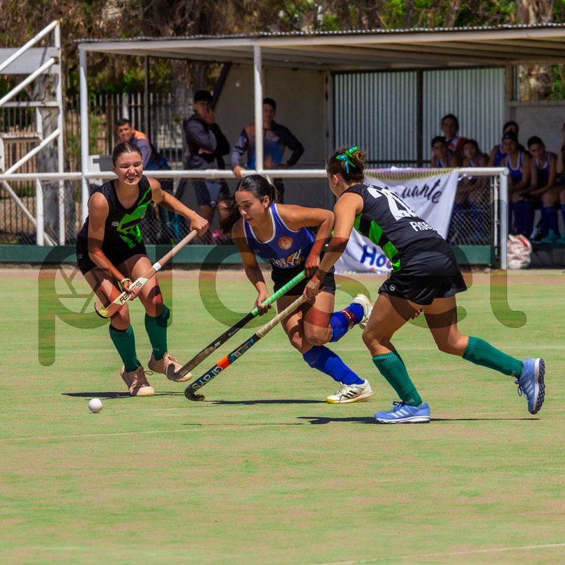 Photo of o1eflbryt07jk5tp79nbdh4d