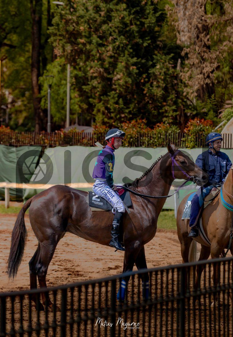 Photo of uqc2bntn13hunei4xao91dav