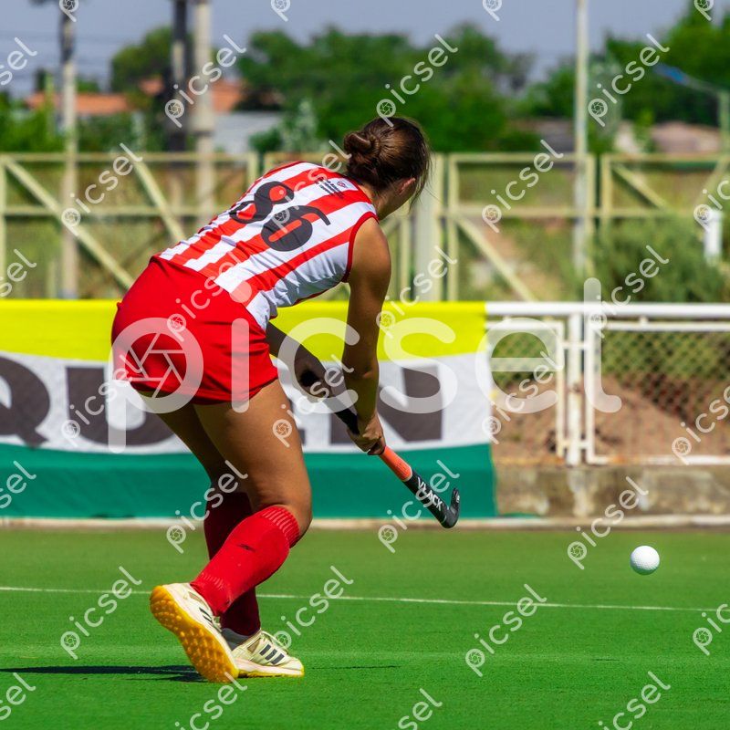 Photo of v2it4fogl8tvoa0lmisez3hh