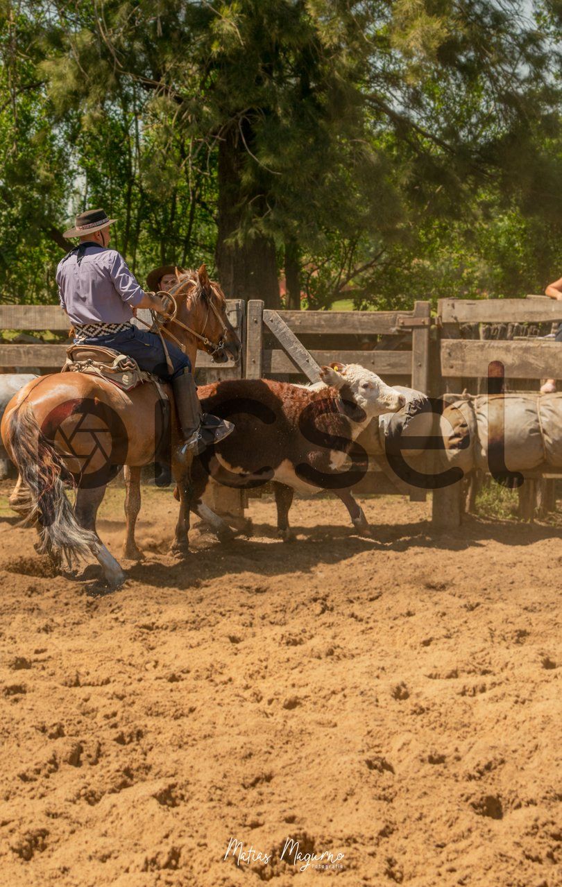 Photo of i5sf3m6cnjam5oi9hlqq7uuv