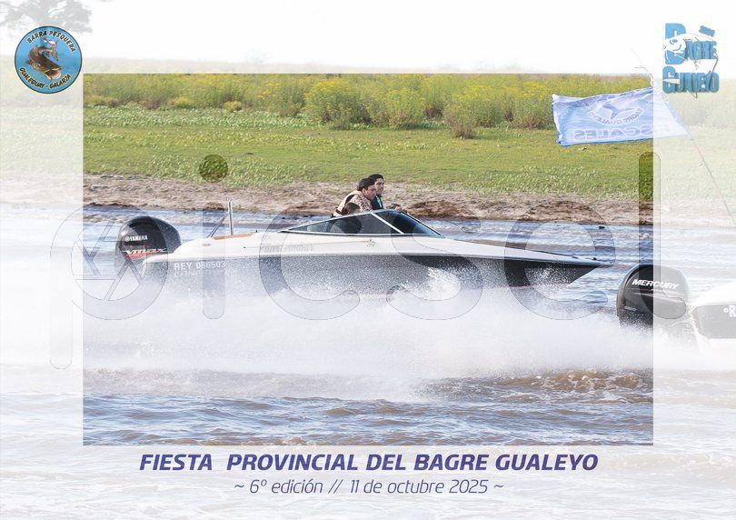 Photo of b8ivwnip3epdtv8un24kv0du