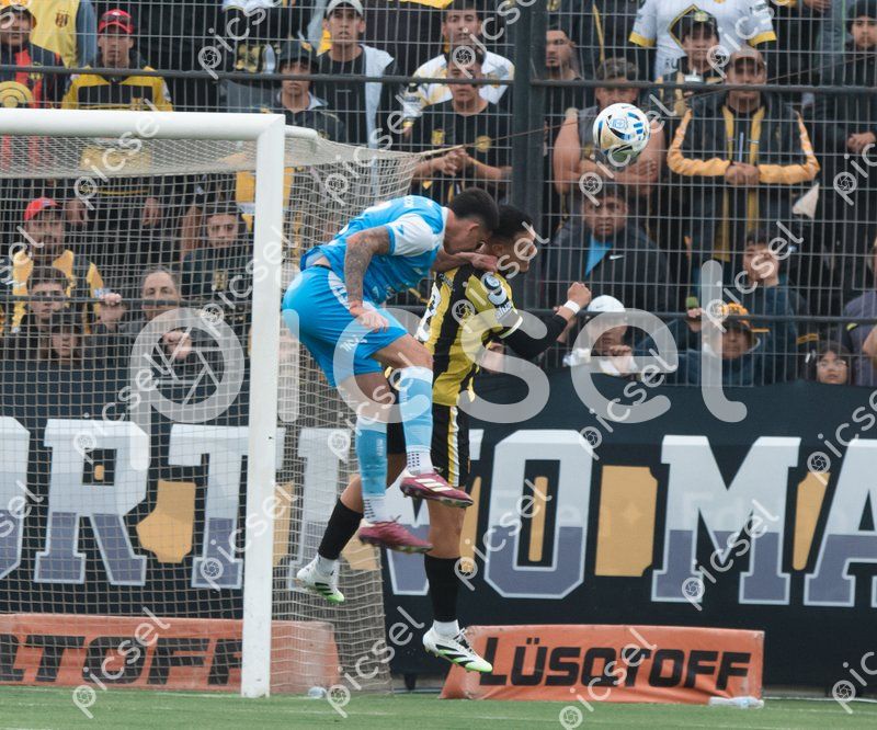 Photo of lm66dpsj9sacx4nsmzxn30wj