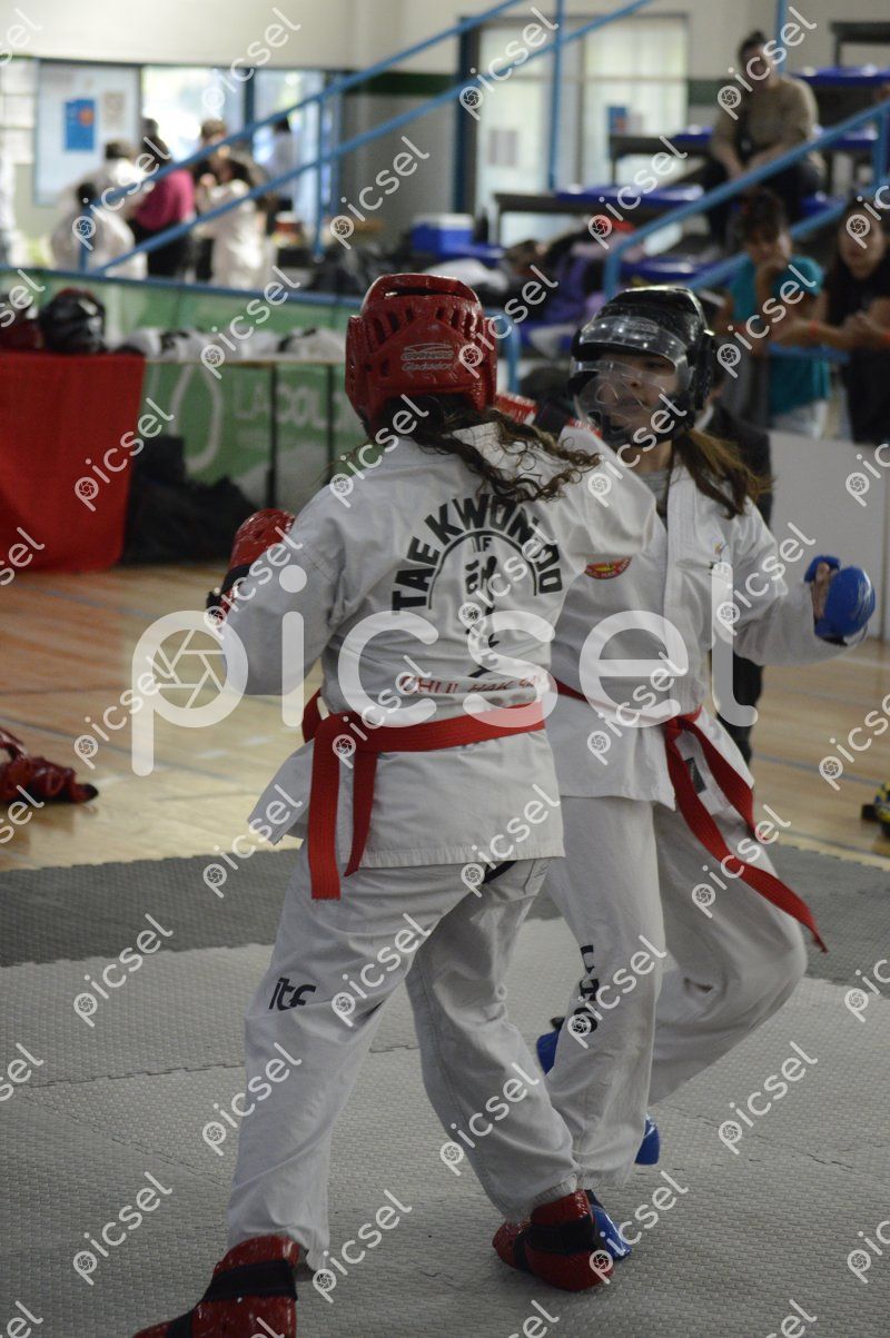 Photo of odxwt0e5siwo8melg7506p6j