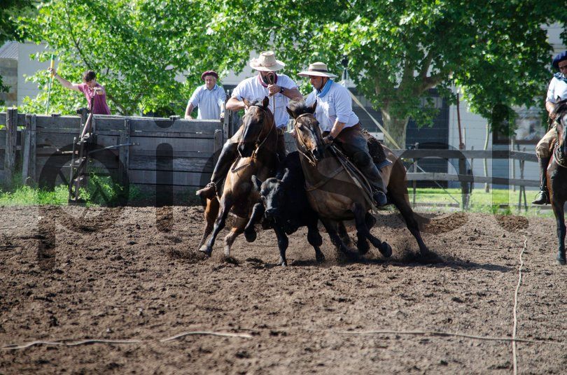 Photo of bneap5lafcsp6kfn1sweyjge