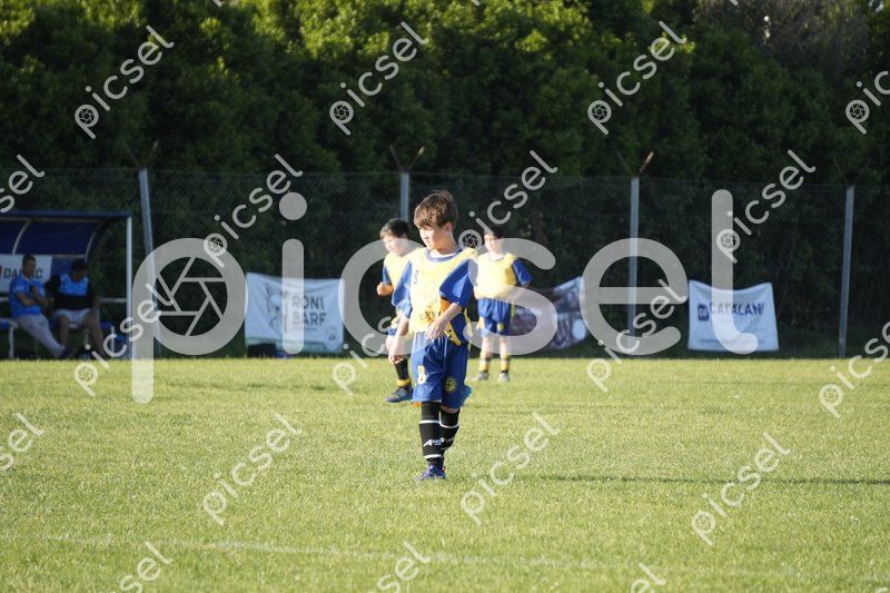 Photo of cyz3ypr08mbllei45bv8k7gy