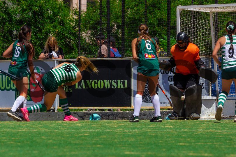 Photo of rr4vd4qt6go65auvk06qak2n