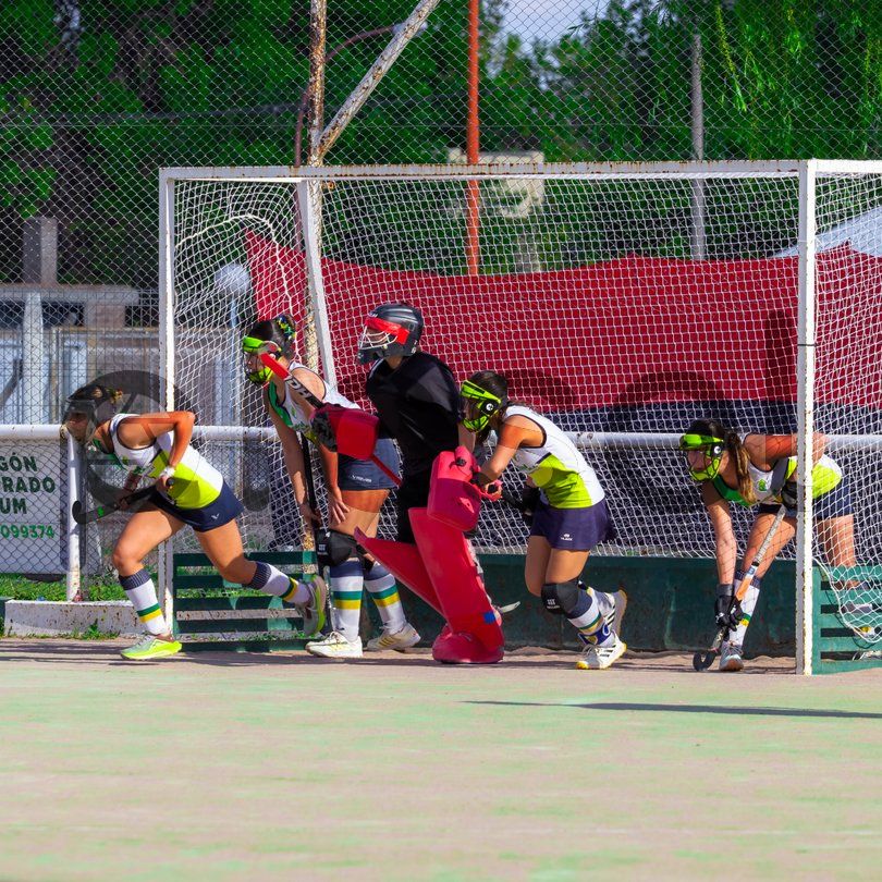 Photo of rsrrk6z81ps201i2jn0vtv80