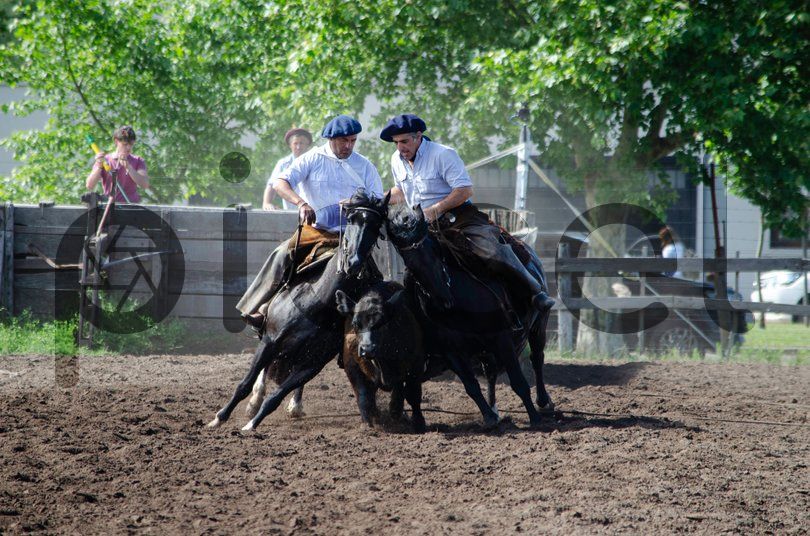 Photo of ir2mtq906s3p60zwmd56o8bv