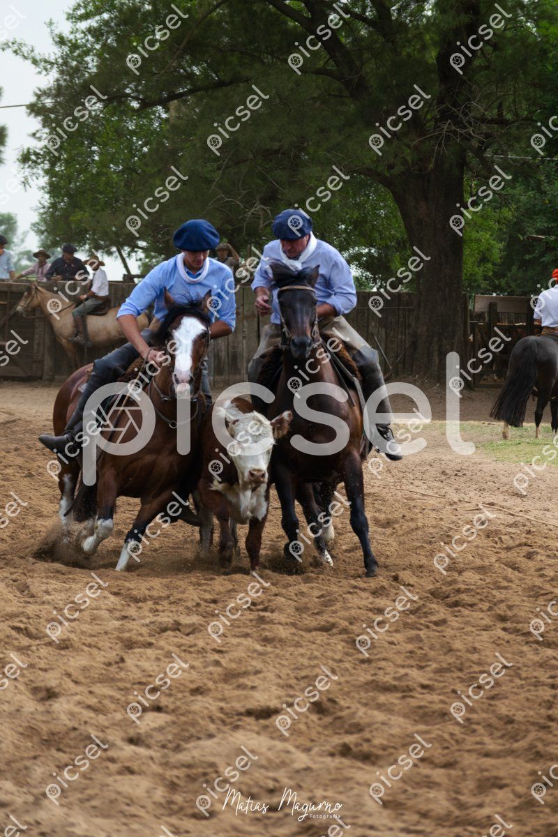 Photo of zud2d73hlr0owbz2hovtreed