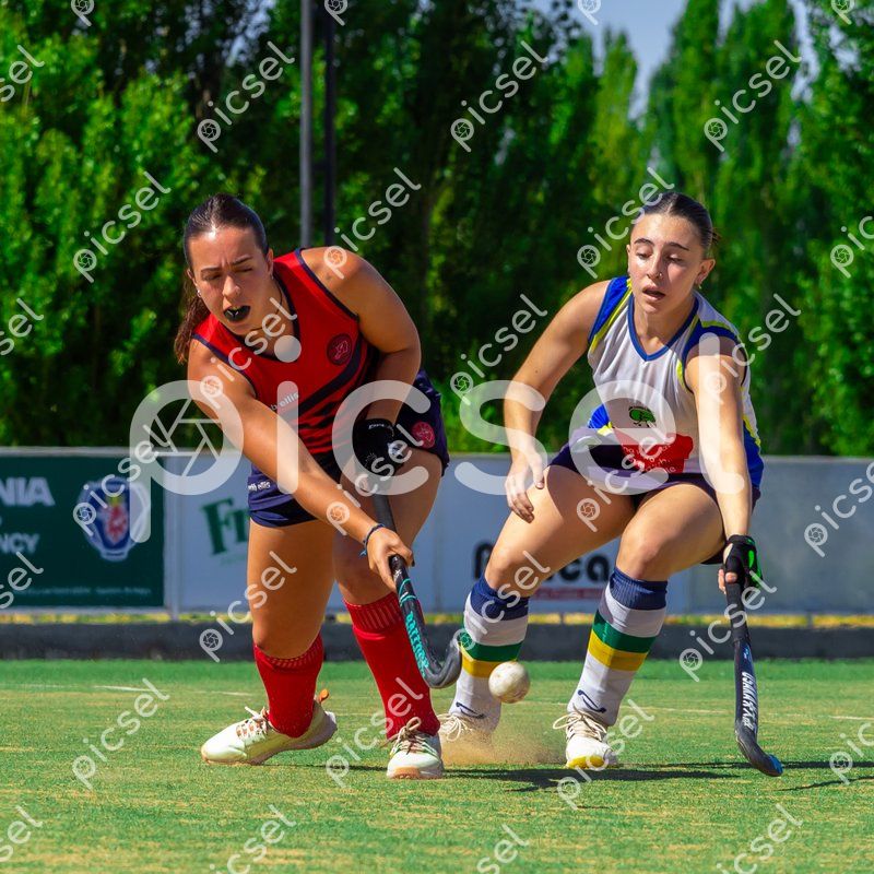 Photo of zsjyo57pip5r50vu1w51en5y