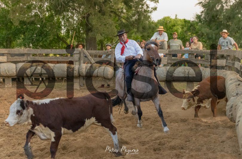 Photo of ktmny4ko1eif1jtxdxt19zmn