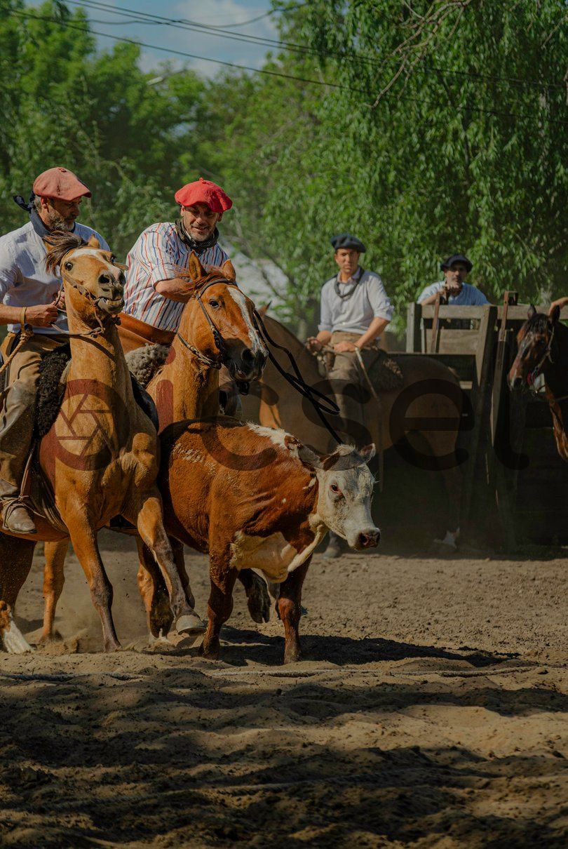 Photo of zueupndyj46tiy6ohoti8yi7