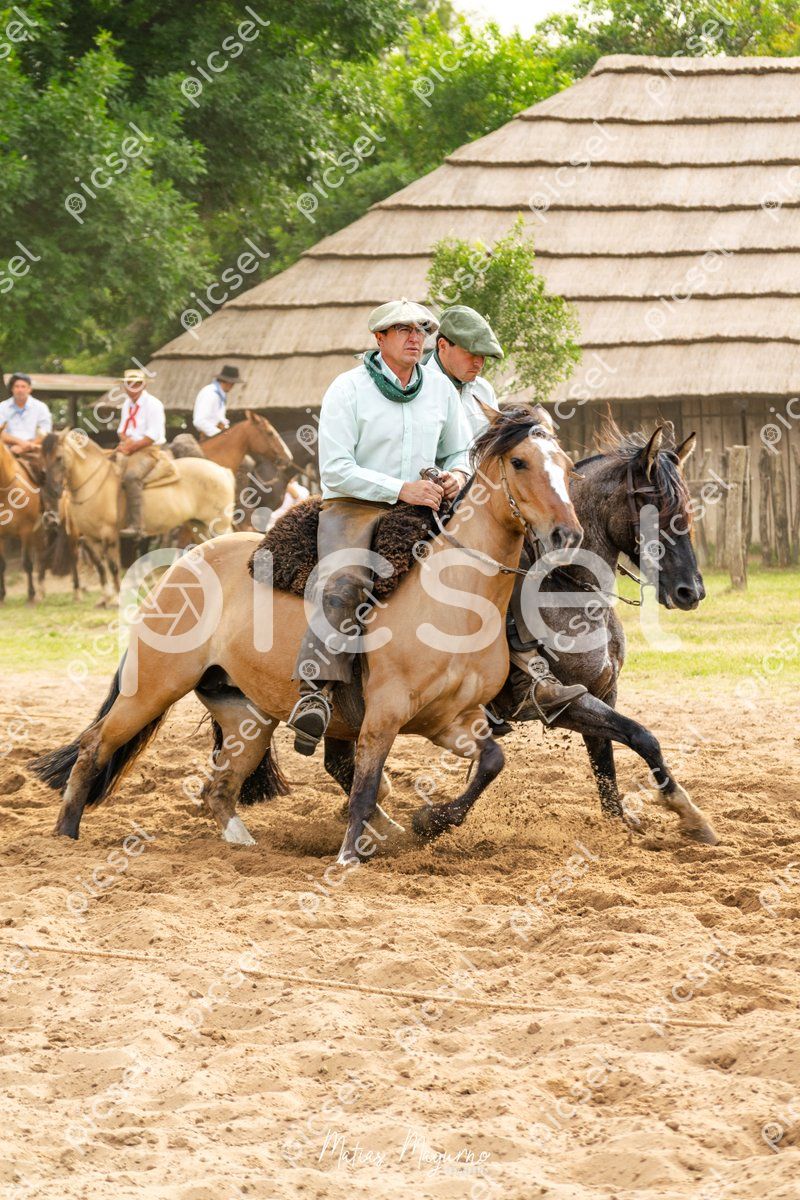 Photo of s21p2ui2yb8a3lo1x3agembu