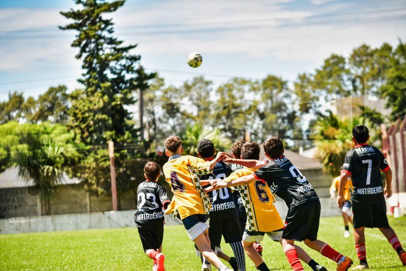 Photo of tslusxqdz7siwi3uo10rsb8a