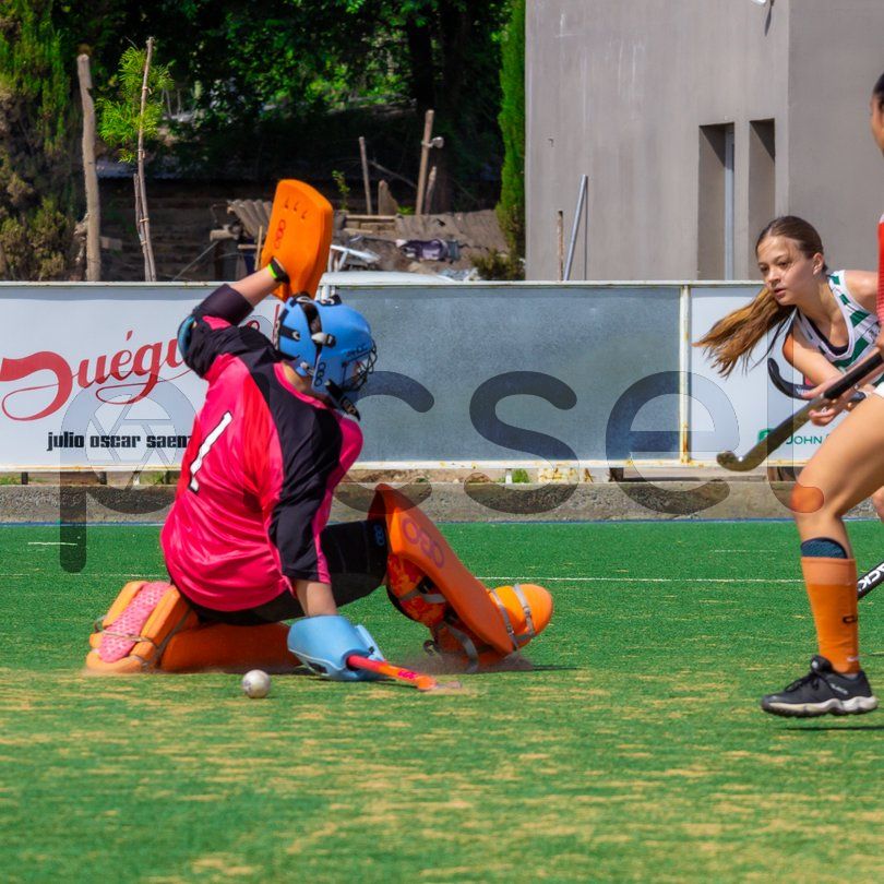 Photo of wqioq7s9e7g1iutu6aut70lm