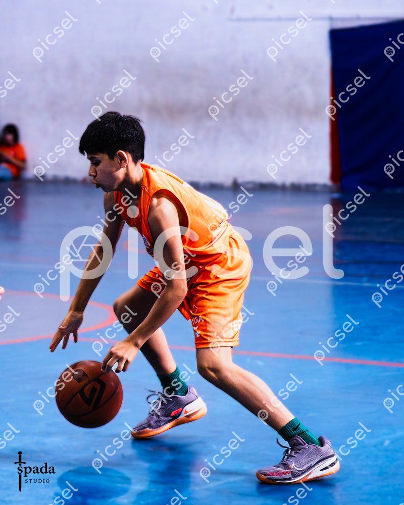 Photo of n7d5gb4j81gq3q48gsjieo4m