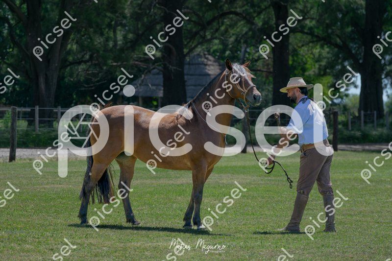 Photo of fcp4rloo8vth4zst85mfpxmd