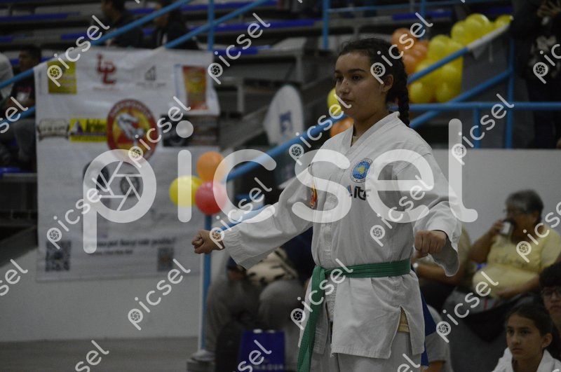 Photo of d8vn7svc9vpn0p0z4a28848r