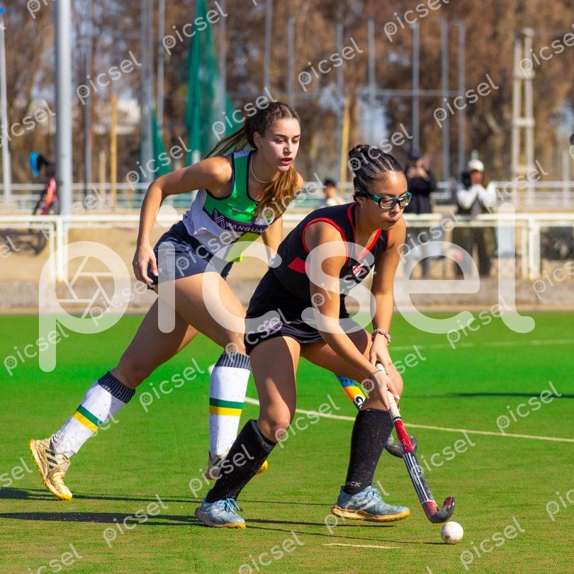 Photo of q5du8pamfxcxvt7ivcb2j3o4