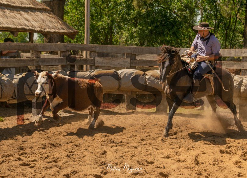 Photo of do9cx9uafcygwn928w9ypqf5