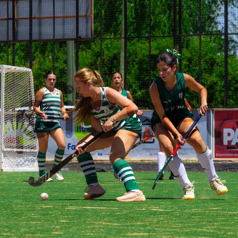 Photo of qz76yoijasmmlo5ya6alclb2