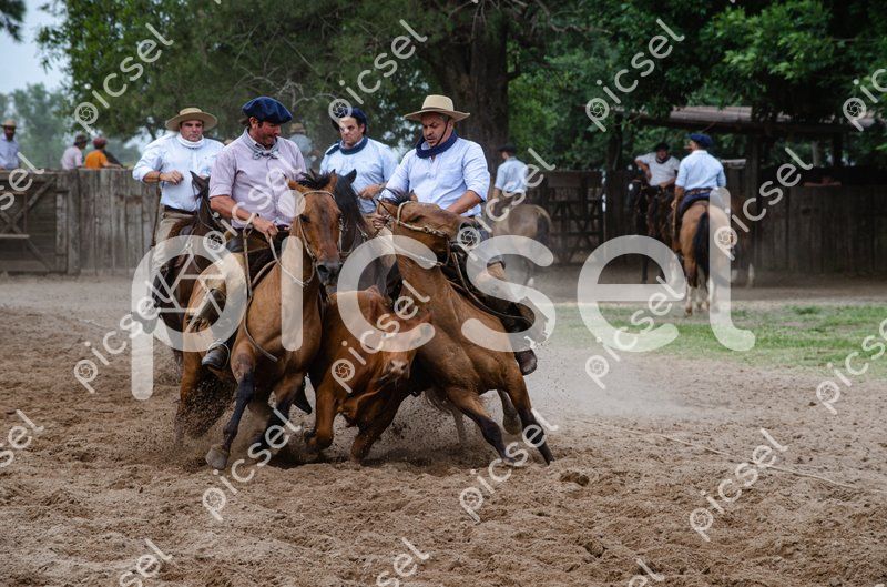 Photo of qctbho5h4sspktrdg2ehscet