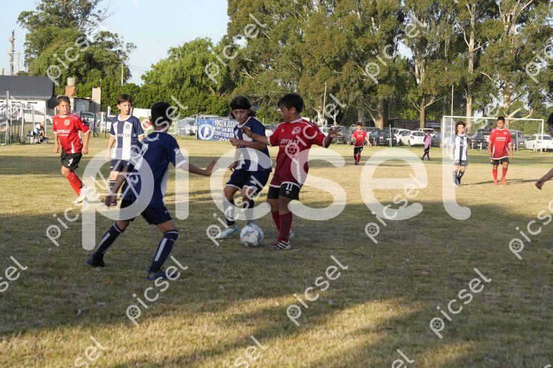 Photo of qa9qgn8mnzv50jayzwnlvcpr