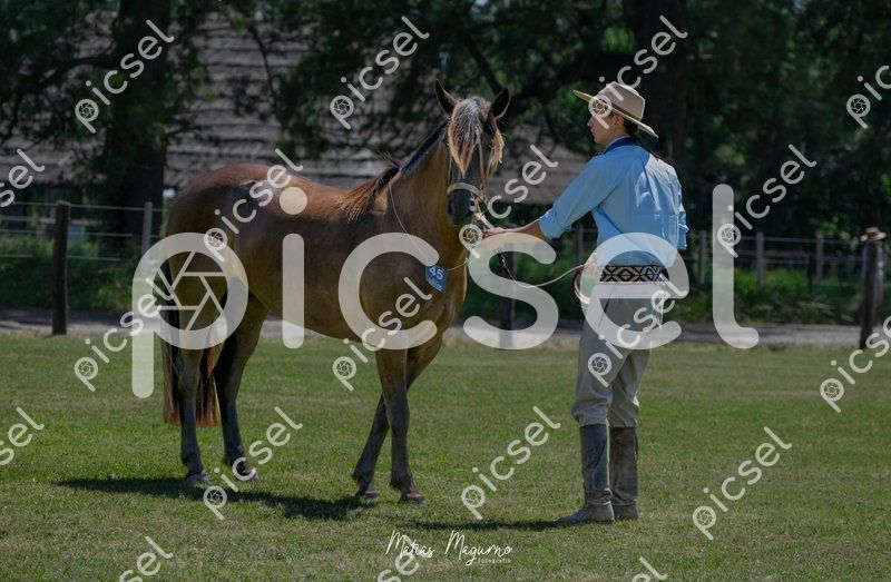 Photo of r9voadm59l4hlumyetsx5832