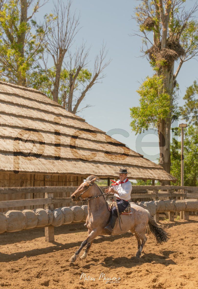 Photo of tuzpfki0b2ak4675aatu5qcs