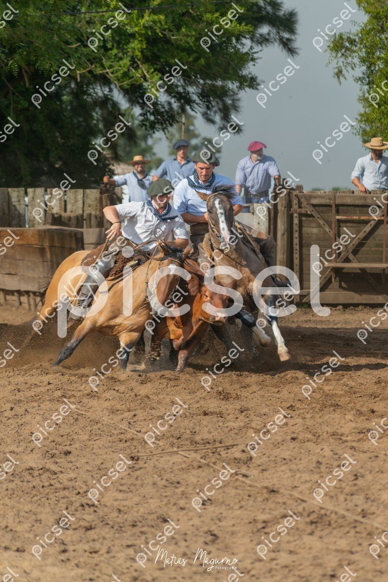 Photo of e465an2ib3ba87fqdfirxu2m