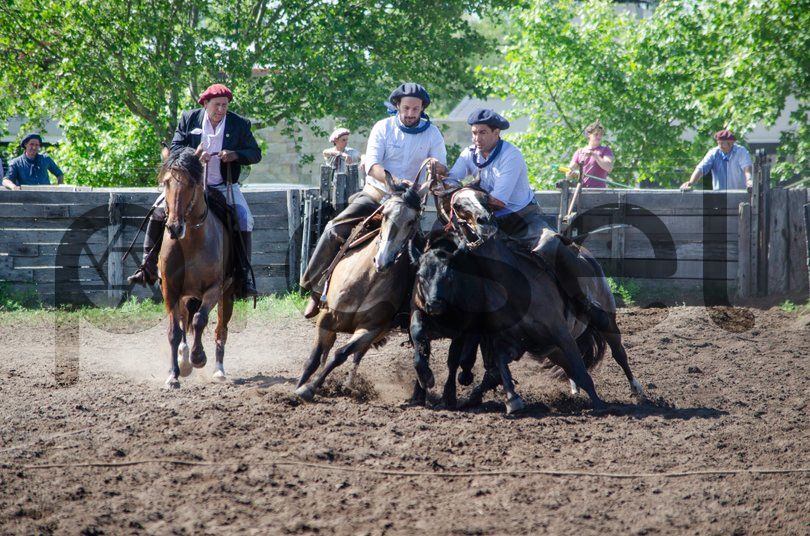 Photo of b510r04pis52g1d3qkvvjdnb