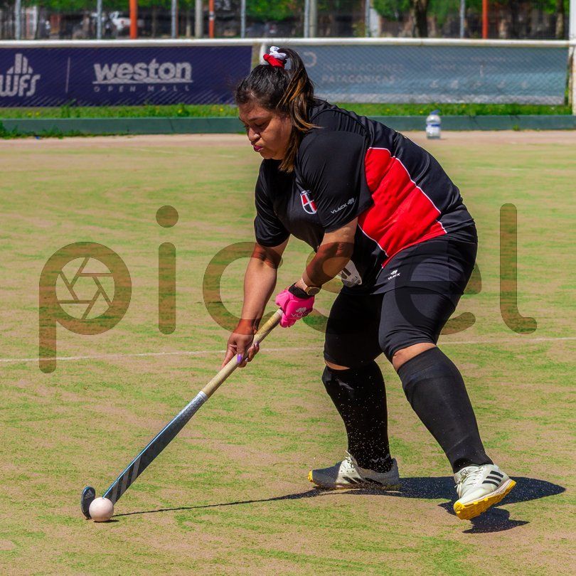 Photo of ustl8reuf8c8mko6wbvmh0y3